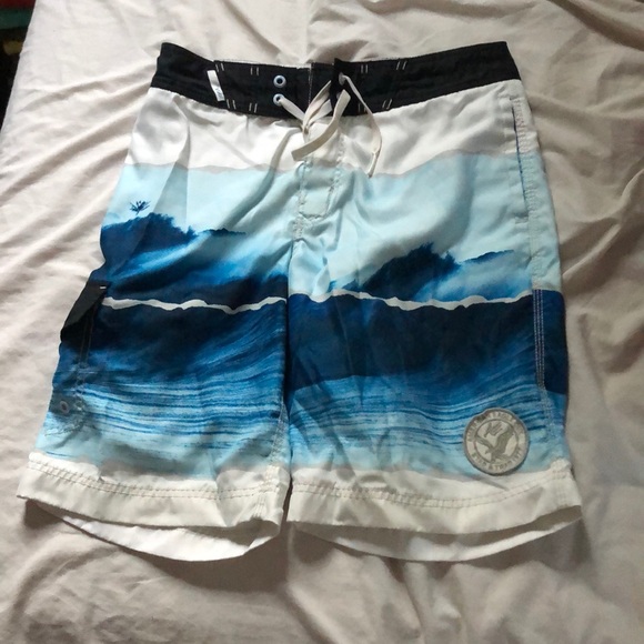 American Eagle Swim Trunks - Picture 1 of 2